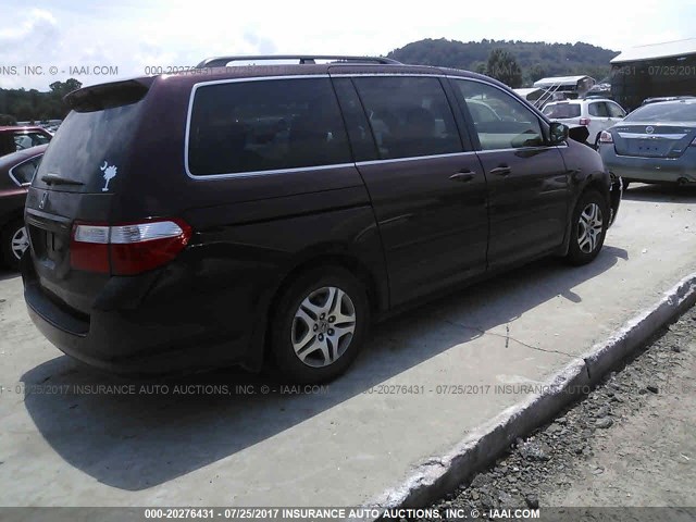 5FNRL38697B418674 - 2007 HONDA ODYSSEY EXL მუქწითელი ფოტო 4