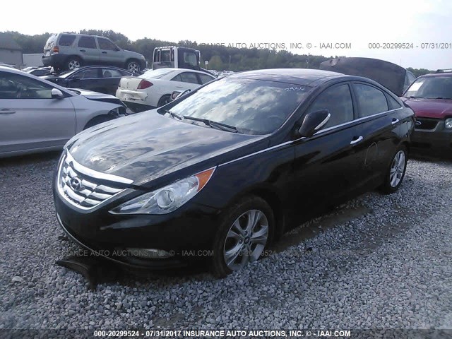 5NPEC4AC8DH567028 - 2013 HYUNDAI SONATA SE/LIMITED BLACK photo 2