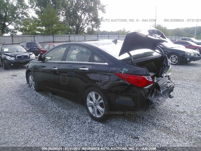 5NPEC4AC8DH567028 - 2013 HYUNDAI SONATA SE/LIMITED BLACK photo 3