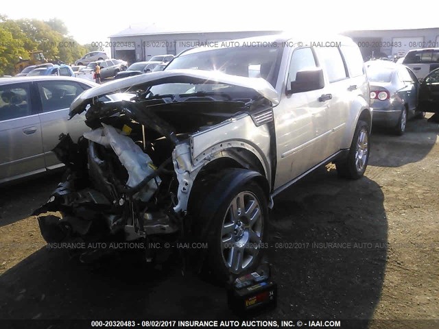 1D8GU58K18W260083 - 2008 DODGE NITRO SLT SILVER photo 2