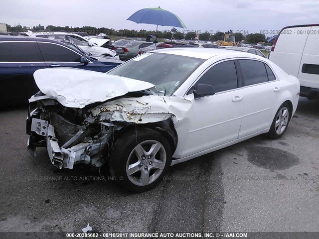 1G1ZA5EU5CF253225 - 2012 CHEVROLET MALIBU LS თეთრი ფოტო 2
