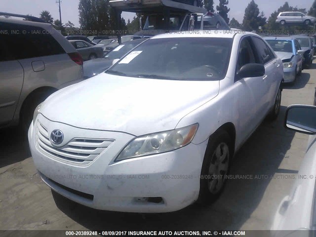 4T1BE46K17U659830 - 2007 TOYOTA CAMRY NEW GENERAT CE/LE/XLE/SE WHITE photo 2