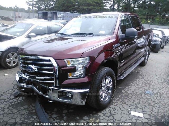1FTEW1EP1FFB36854 - 2015 FORD F150 SUPERCREW MAROON photo 2