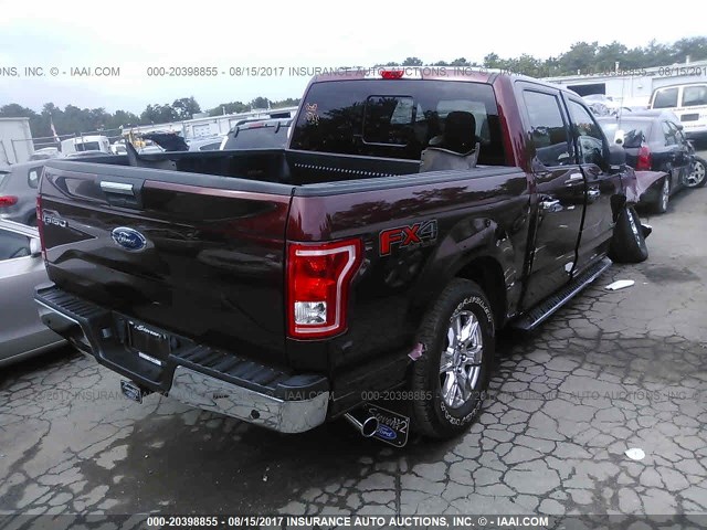 1FTEW1EP1FFB36854 - 2015 FORD F150 SUPERCREW MAROON photo 4