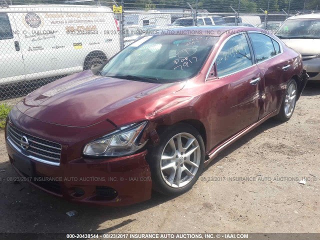 1N4AA51E19C850763 - 2009 NISSAN MAXIMA S/SV BURGUNDY photo 2