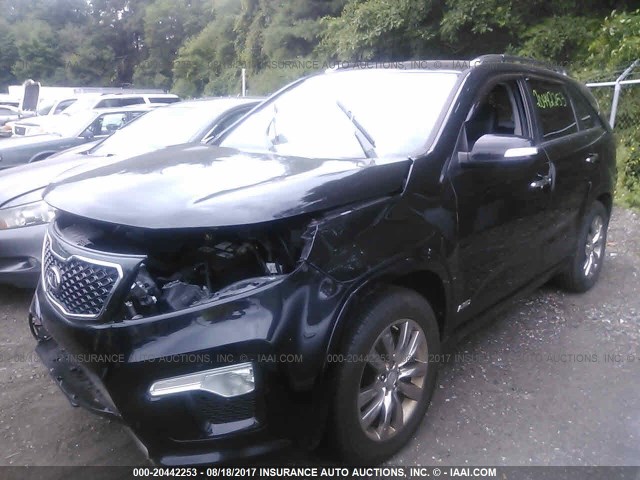 5XYKWDA26BG120252 - 2011 KIA SORENTO SX BLACK photo 2