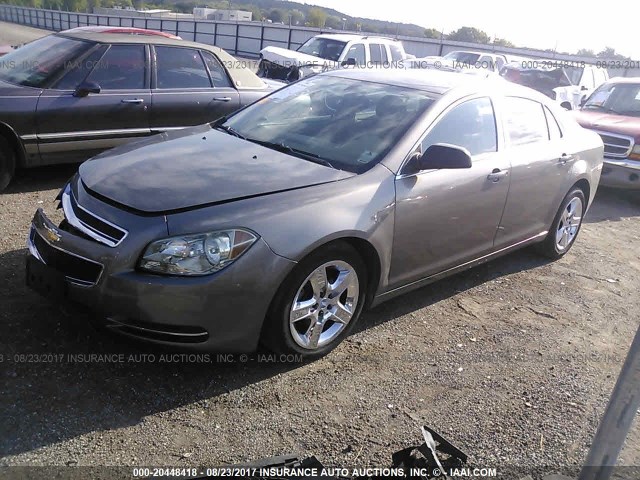 1G1ZB5EBXAF314058 - 2010 CHEVROLET MALIBU LS GRAY photo 2