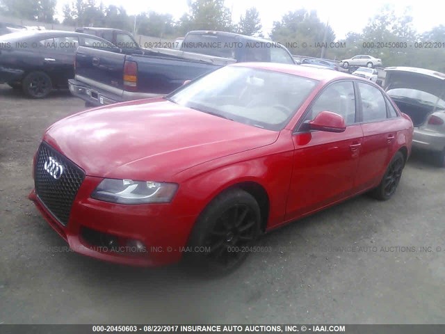 WAULF78K19N025433 - 2009 AUDI A4 2.0T QUATTRO RED photo 2