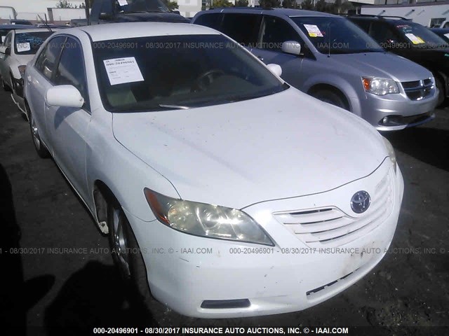 4T4BE46K39R072585 - 2009 TOYOTA CAMRY SE/LE/XLE WHITE photo 1
