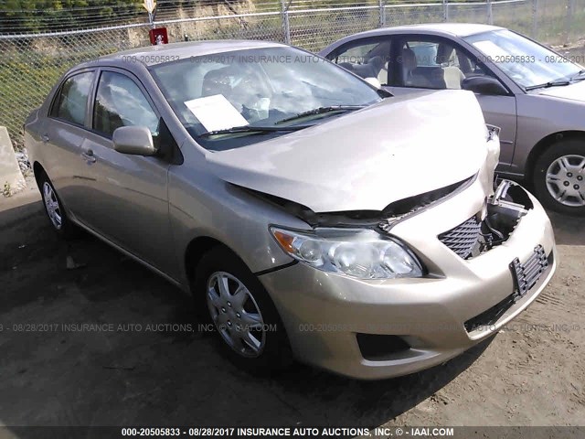 2T1BU4EE6AC321301 - 2010 TOYOTA COROLLA S/LE/XLE GOLD photo 1