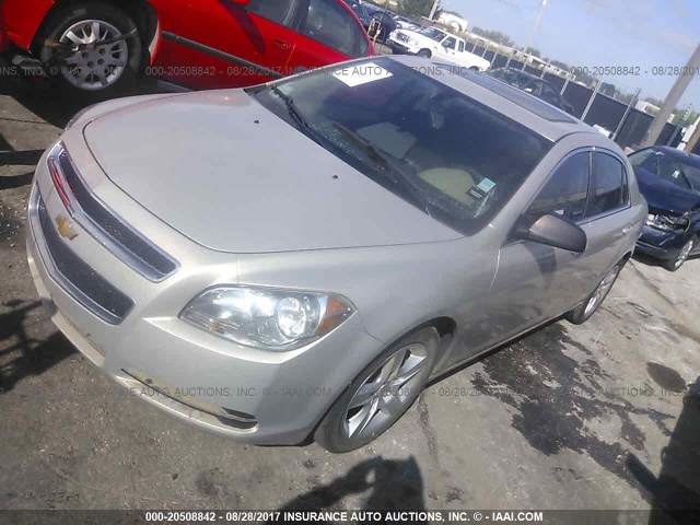 1G1ZB5E08CF160029 - 2012 CHEVROLET MALIBU LS 金色 照片 2