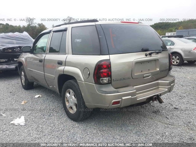 1GNDT13S732362211 - 2003 CHEVROLET TRAILBLAZER  TAN photo 3