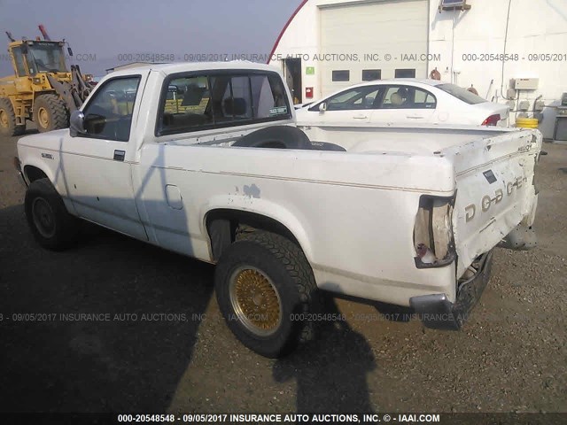 1B7GR14X2JS676814 - 1988 DODGE DAKOTA WHITE photo 3