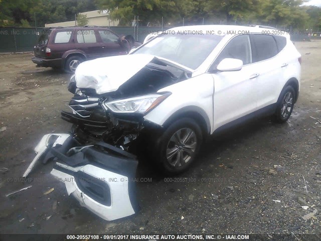 5XYZTDLB6FG299595 - 2015 HYUNDAI SANTA FE SPORT  WHITE photo 2