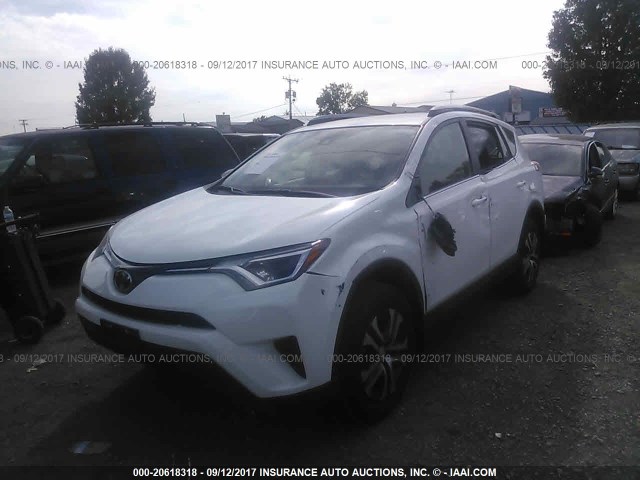 JTMBFREV1HJ113574 - 2017 TOYOTA RAV4 LE WHITE photo 2