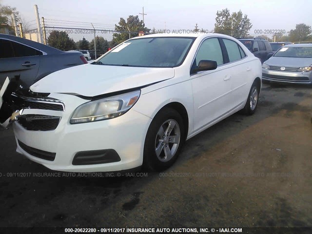 1G11B5SA8DF142531 - 2013 CHEVROLET MALIBU LS WHITE photo 2