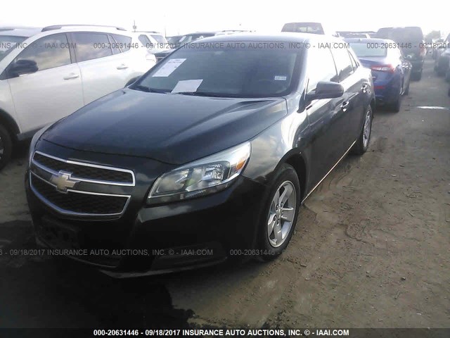 1G11B5SA8DF237395 - 2013 CHEVROLET MALIBU LS შავი ფოტო 2