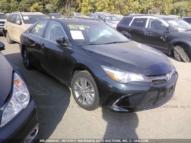 4T1BF1FK4GU263998 - 2016 TOYOTA CAMRY LE/XLE/SE/XSE BLACK photo 1