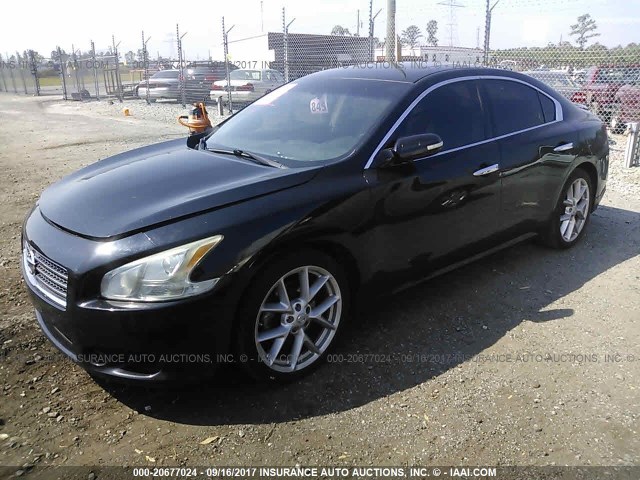 1N4AA51E49C835559 - 2009 NISSAN MAXIMA S/SV BLACK photo 2