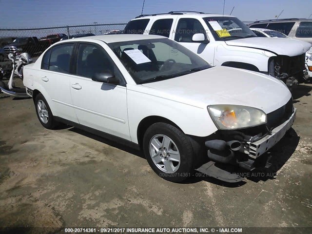1G1ZT54865F333540 - 2005 CHEVROLET MALIBU LS თეთრი ფოტო 1