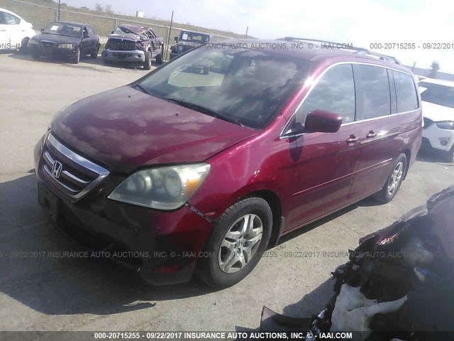 5FNRL38786B062208 - 2006 HONDA ODYSSEY EXL მუქწითელი ფოტო 2