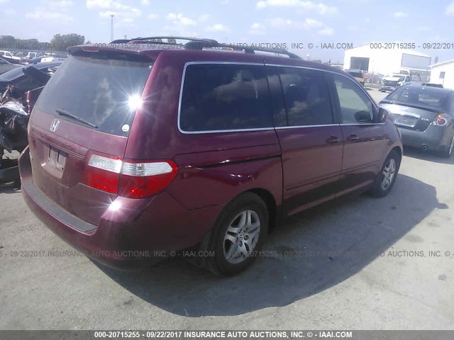 5FNRL38786B062208 - 2006 HONDA ODYSSEY EXL MAROON photo 4