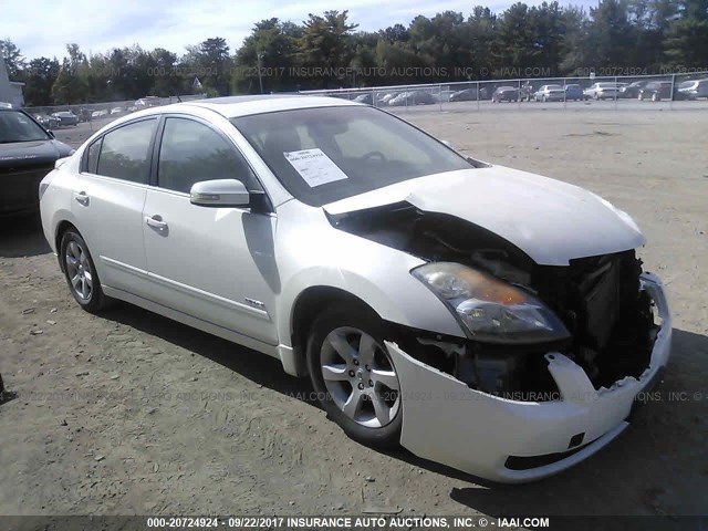 1N4CL21E88C261791 - 2008 NISSAN ALTIMA HYBRID WHITE photo 1