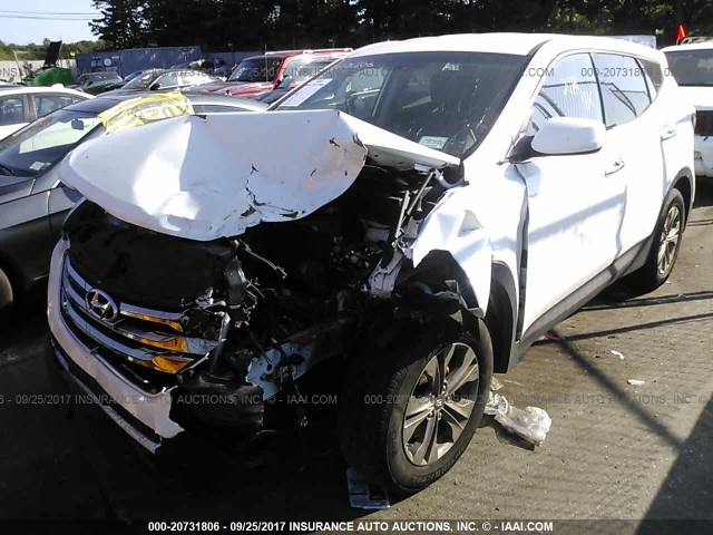 5XYZT3LB5GG363069 - 2016 HYUNDAI SANTA FE SPORT  WHITE photo 2