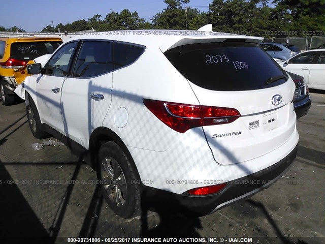 5XYZT3LB5GG363069 - 2016 HYUNDAI SANTA FE SPORT  WHITE photo 3