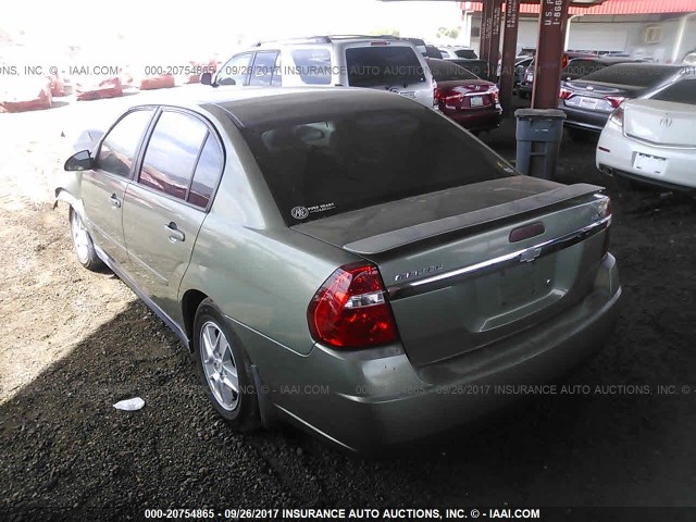 1G1ZT54824F244420 - 2004 CHEVROLET MALIBU LS მწვანე ფოტო 3