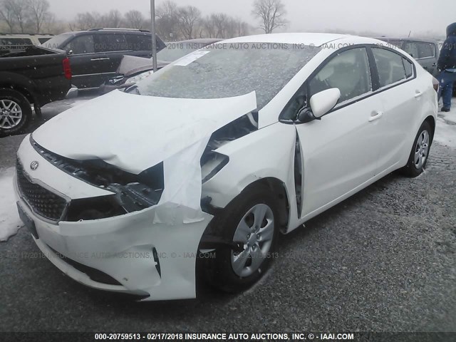 3KPFL4A7XHE139852 - 2017 KIA FORTE LX/S WHITE photo 2