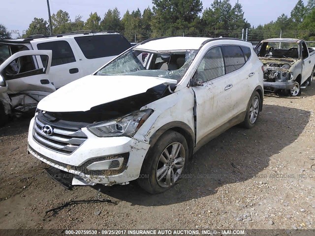 5XYZU3LA3DG025735 - 2013 HYUNDAI SANTA FE SPORT  WHITE photo 2