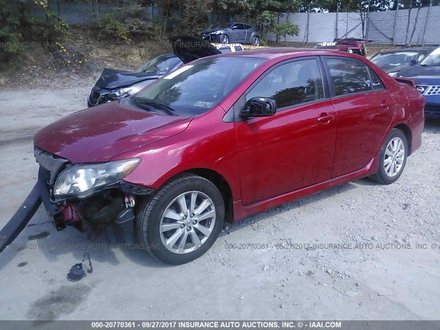 2T1BU4EE5AC483324 - 2010 TOYOTA COROLLA S/LE/XLE RED photo 2