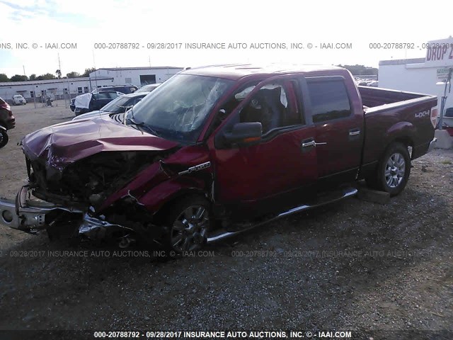 1FTFW1EV6AKB32589 - 2010 FORD F150 SUPERCREW RED photo 2