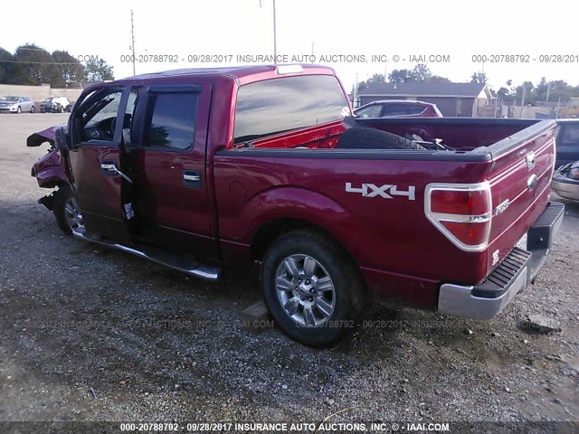 1FTFW1EV6AKB32589 - 2010 FORD F150 SUPERCREW RED photo 3