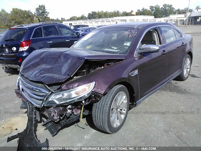 1FAHP2FW4BG159254 - 2011 FORD TAURUS LIMITED BURGUNDY photo 2