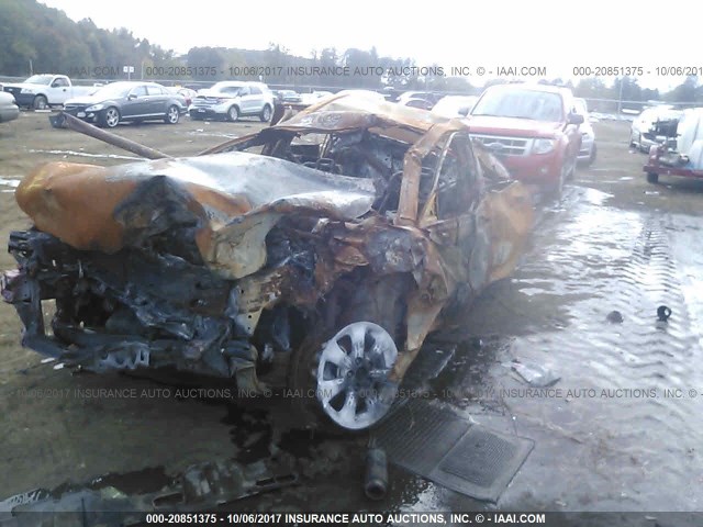 4T1BE46K79U330519 - 2009 TOYOTA CAMRY SE/LE/XLE 勃艮第红 照片 6