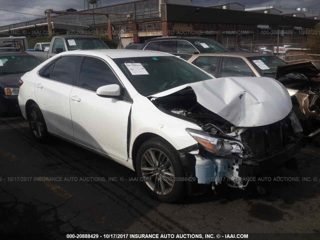 4T1BF1FK2FU031317 - 2015 TOYOTA CAMRY LE/XLE/SE/XSE Weiß Foto 1
