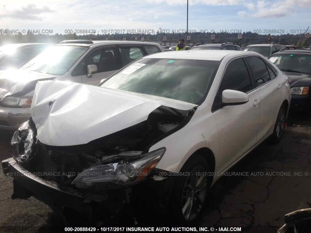 4T1BF1FK2FU031317 - 2015 TOYOTA CAMRY LE/XLE/SE/XSE Weiß Foto 2