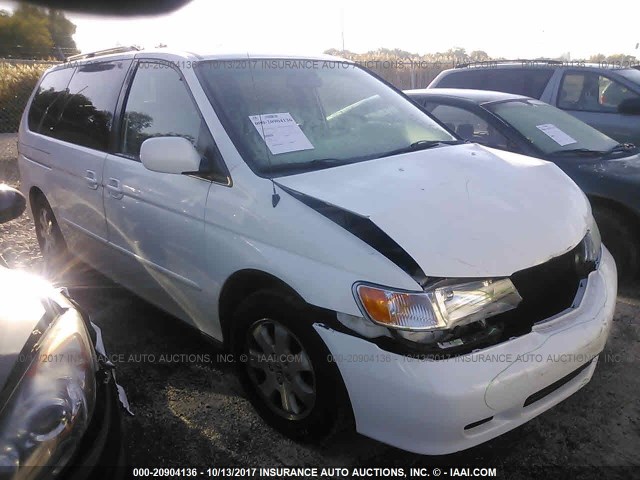 5FNRL18004B001441 - 2004 HONDA ODYSSEY EXL თეთრი ფოტო 1