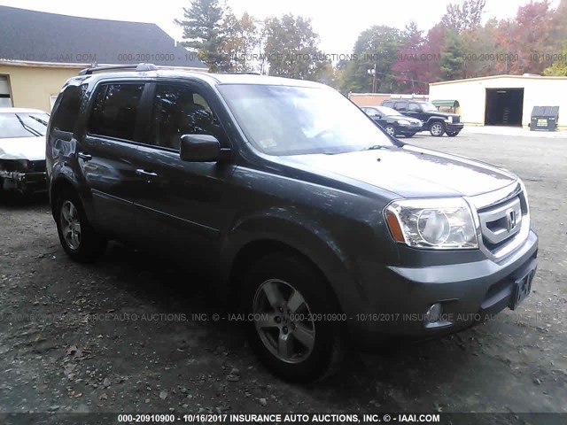 5FNYF4H53AB020710 - 2010 HONDA PILOT EXL GRAY photo 1