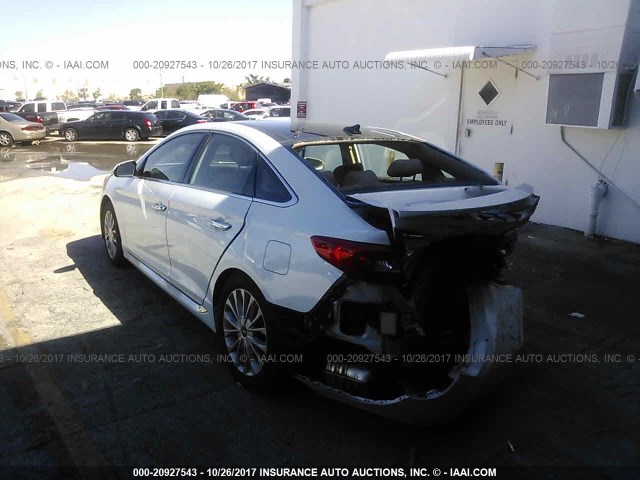 5NPE34AF4FH101822 - 2015 HYUNDAI SONATA SPORT/LIMITED WHITE photo 3