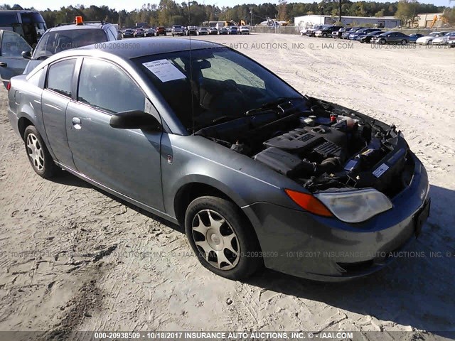 1G8AN12F65Z155842 - 2005 SATURN ION LEVEL 2 GRAY photo 1