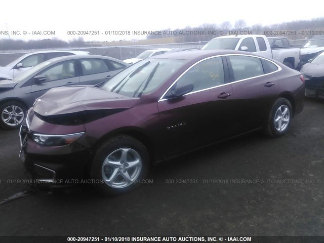 1G1ZB5ST7GF204526 - 2016 CHEVROLET MALIBU LS MAROON photo 2