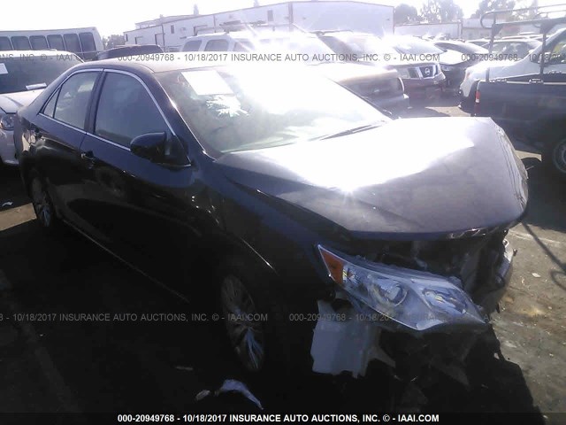 4T1BF1FK3DU210088 - 2013 TOYOTA CAMRY L/SE/LE/XLE BLACK photo 1