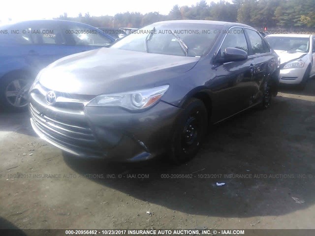 4T1BF1FK3HU648177 - 2017 TOYOTA CAMRY LE/XLE/SE/XSE GRAY photo 2