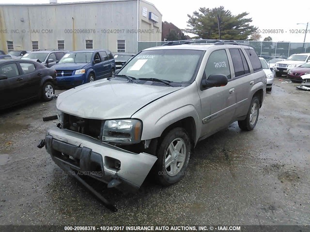 1GNDT13S432313046 - 2003 CHEVROLET TRAILBLAZER  TAN photo 2