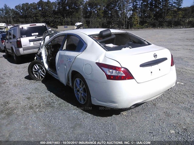 1N4AA5APXBC825187 - 2011 NISSAN MAXIMA S/SV WHITE photo 3