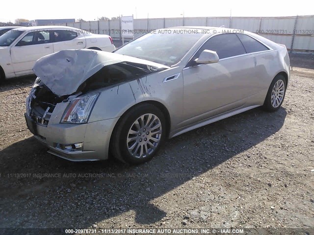 1G6DP1E39D0155774 - 2013 CADILLAC CTS PREMIUM COLLECTION GOLD photo 2