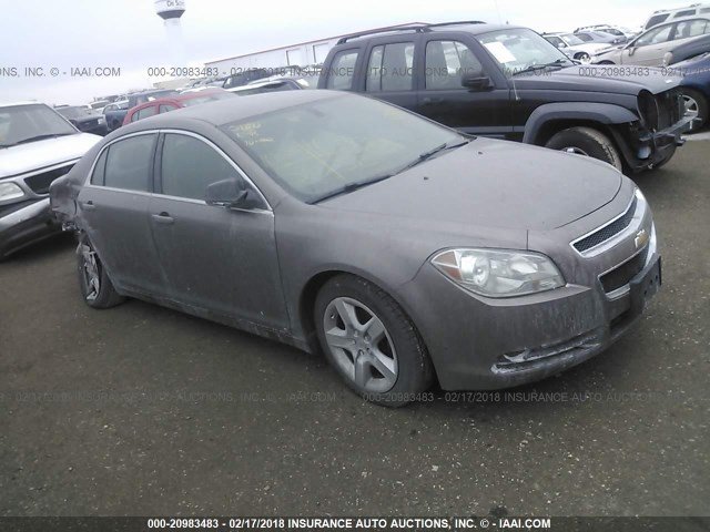 1G1ZB5EB4AF115023 - 2010 CHEVROLET MALIBU LS თაფლისფერი ფოტო 1
